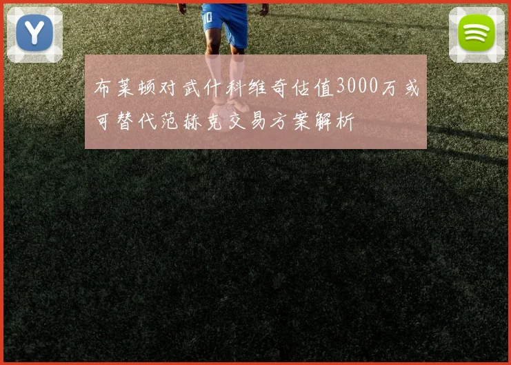 布莱顿对武什科维奇估值3000万或可替代范赫克交易方案解析