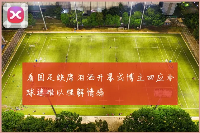 看国足缺席泪洒开幕式博主回应非球迷难以理解情感